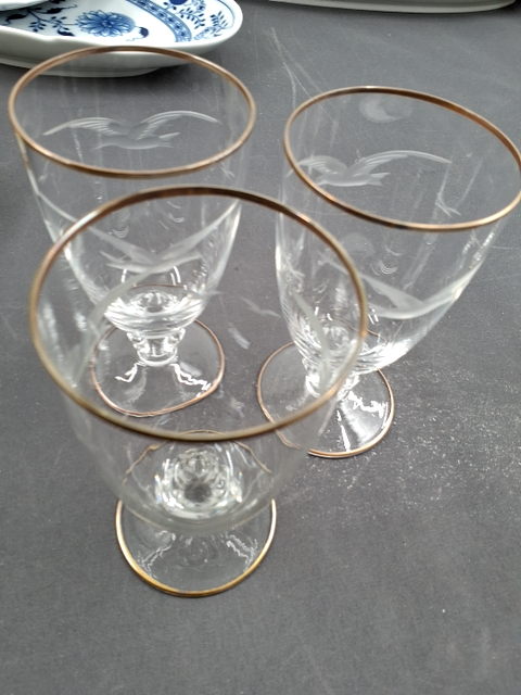 Glas måge